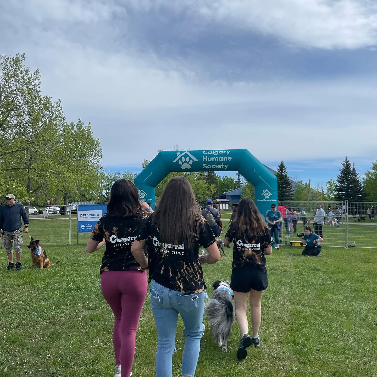 Chaparral Veterinary Clinic team members walking with a dog at the Calgary Humane Society Dog Jog