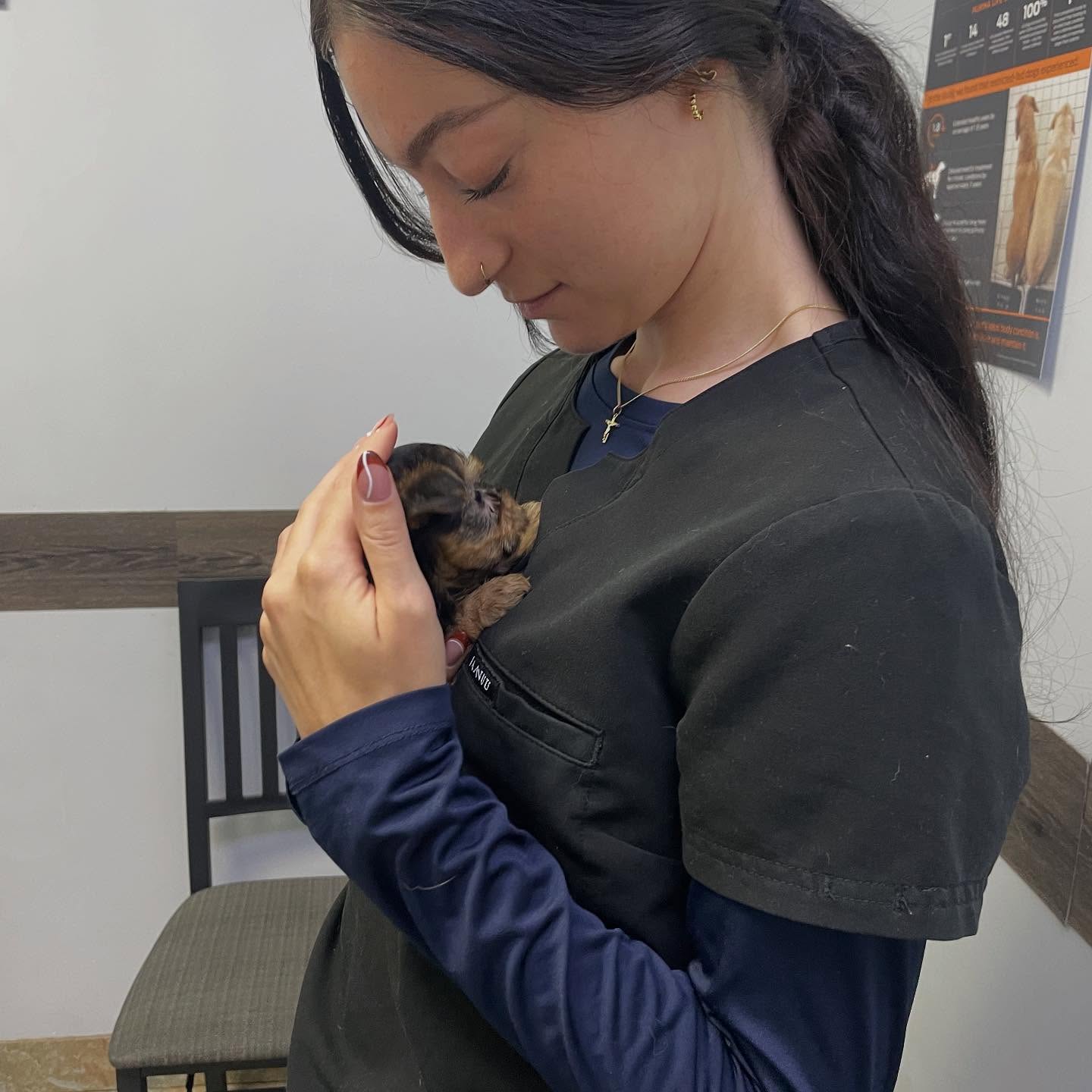 Team member cradling a tiny puppy at Chaparral Veterinary Clinic